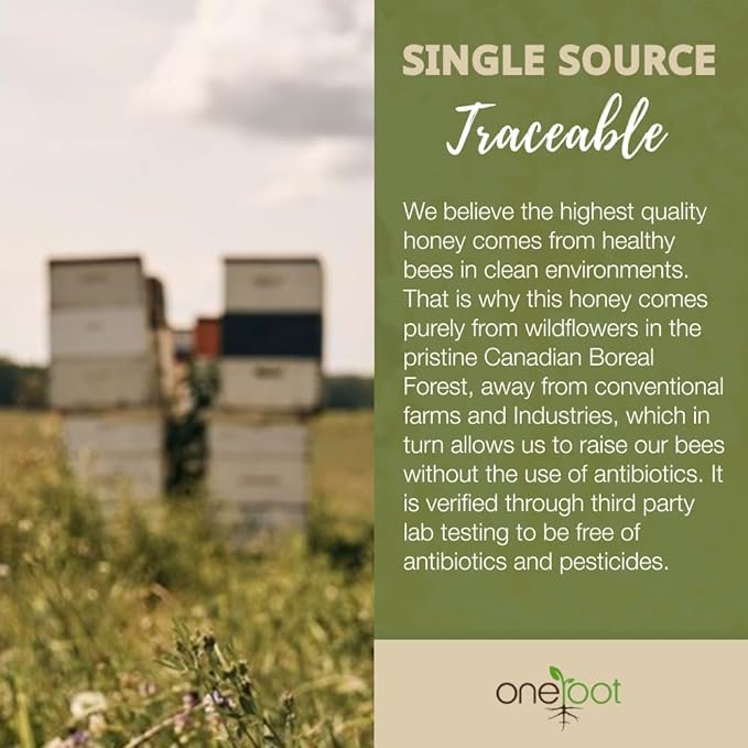 Natural Raw Boreal Forest Wildflower Honey 500g